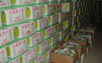 100平方米水果冷庫造價要多少錢？